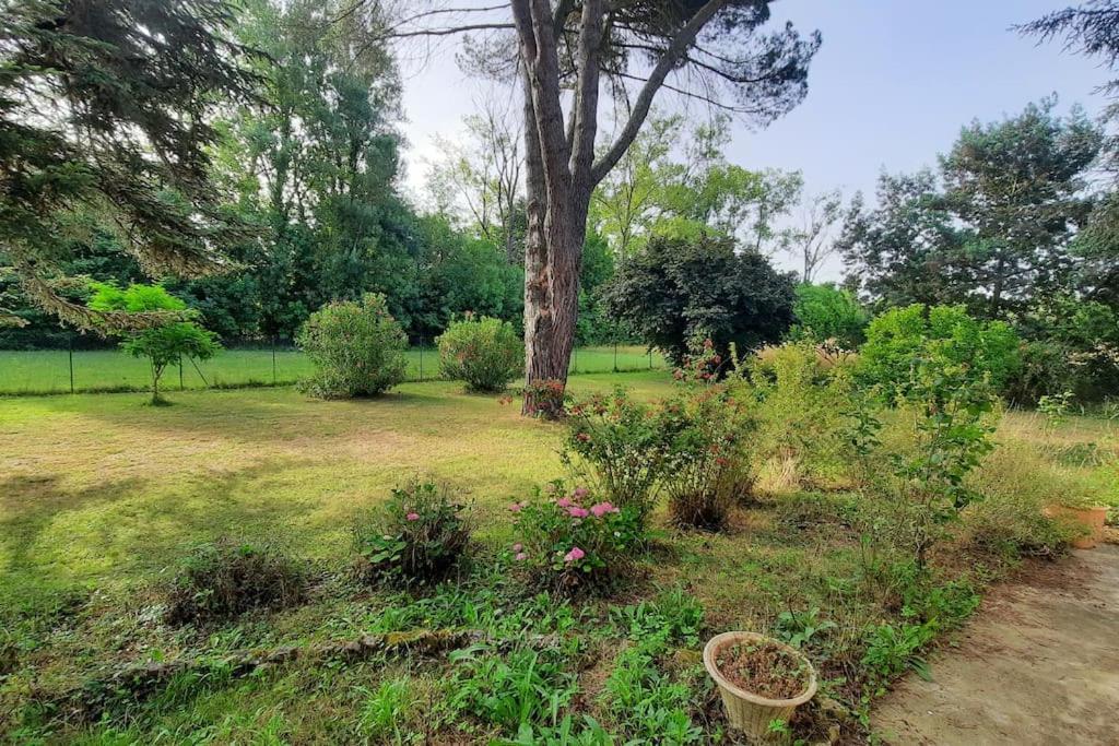 La Maison De Lili Colayrac-Saint-Cirq Exterior foto